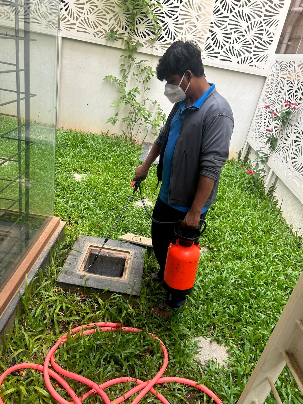 Integrated Pest Management Process