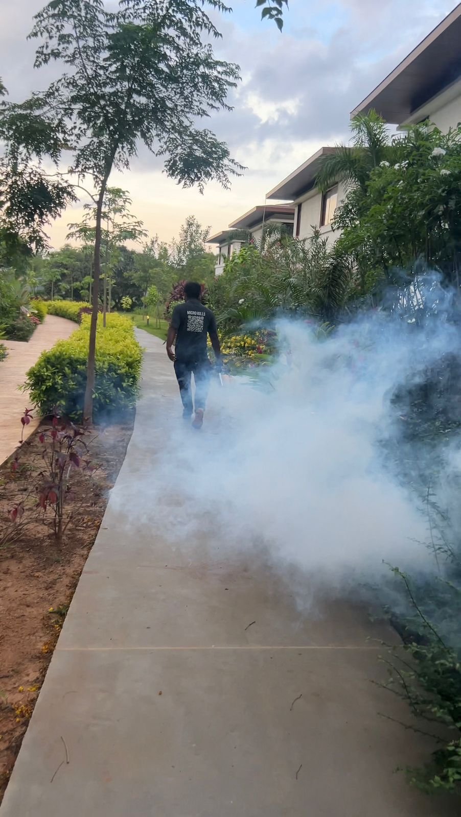 Integrated Pest Management Process