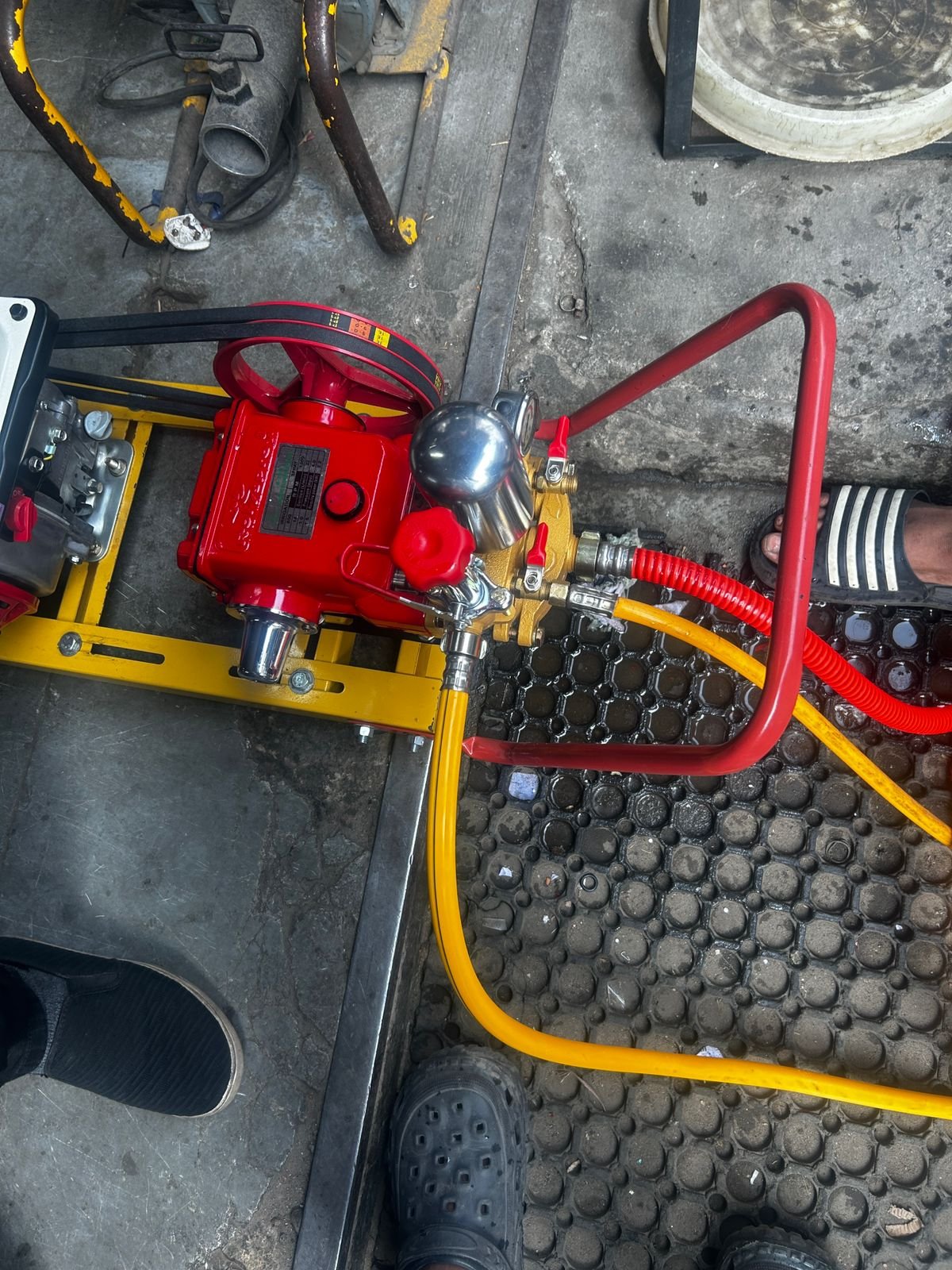 Integrated Pest Management Process