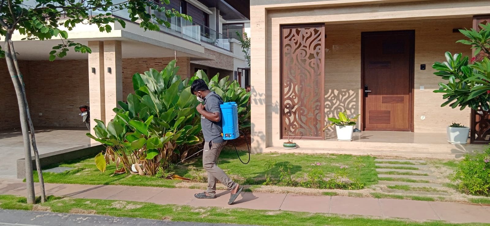 Integrated Pest Management Process