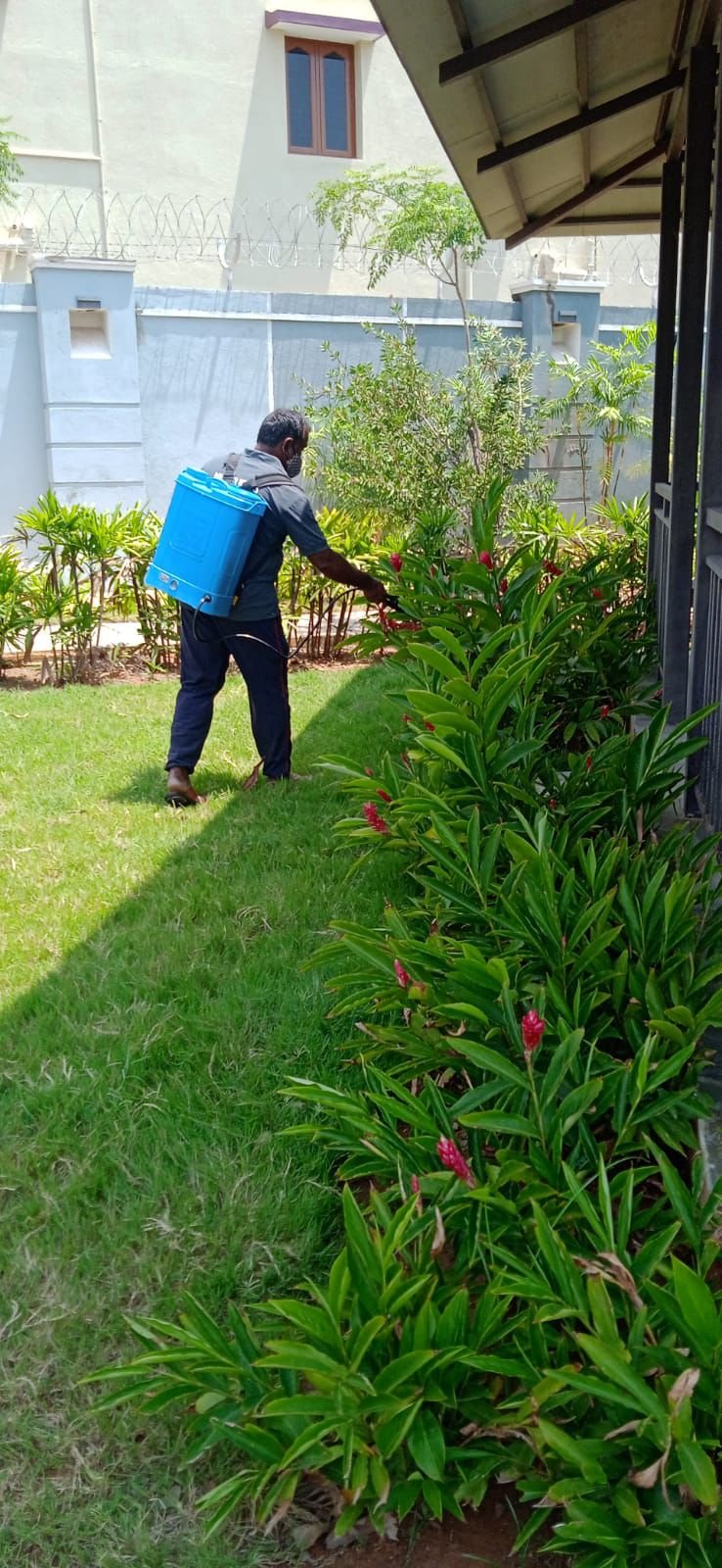 Integrated Pest Management Process